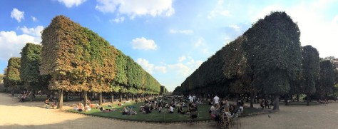 Jardins de Luxemburgo / Wellingson Grangeiro